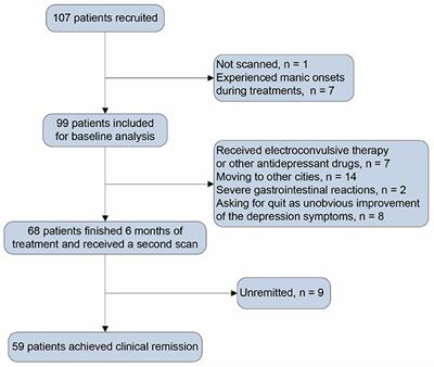 State-Independent and -Dependent Structural Connectivity Alterations in Depression